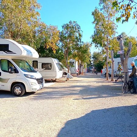 Hotel Camping La Naranja Gandía Esterno foto