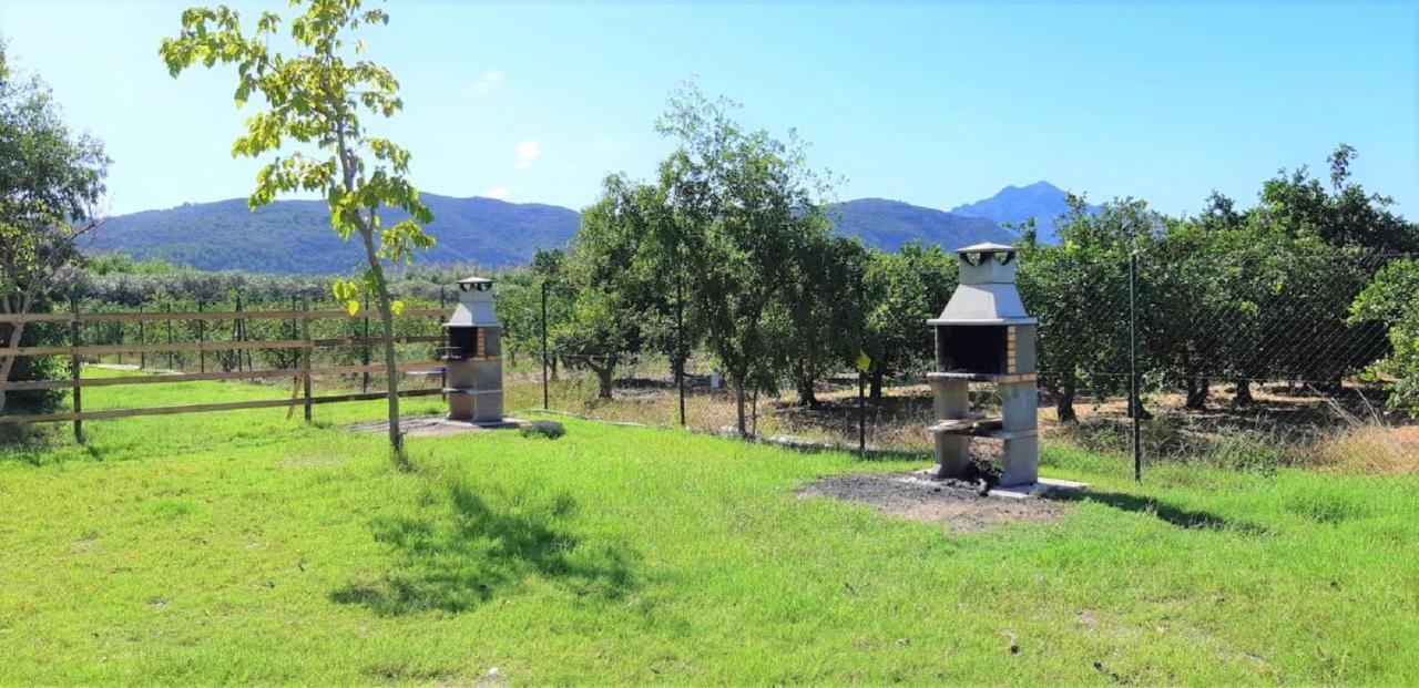 Hotel Camping La Naranja Gandía Esterno foto
