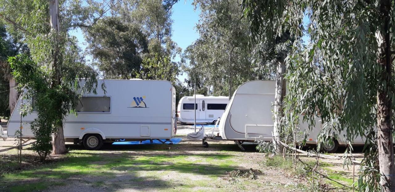 Hotel Camping La Naranja Gandía Esterno foto