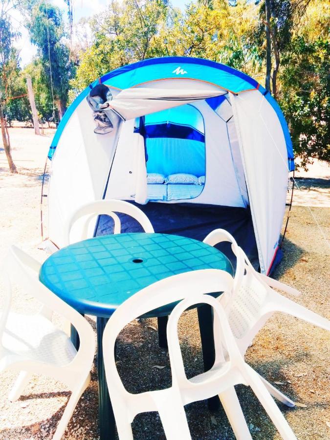 Hotel Camping La Naranja Gandía Esterno foto